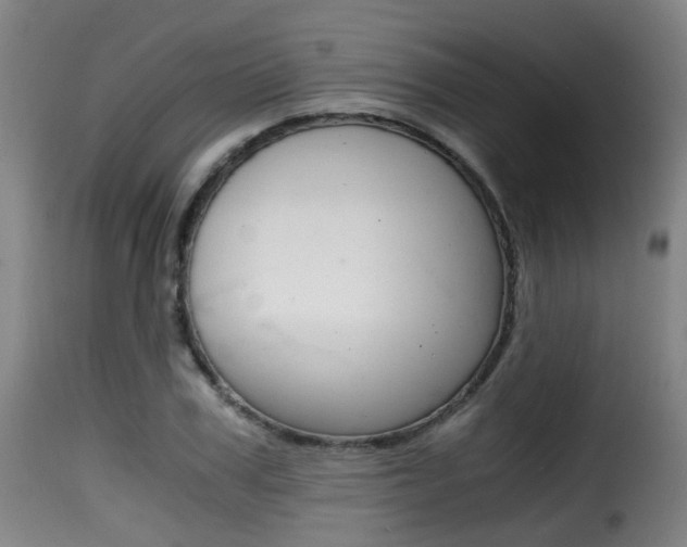 X0000116000979200911191210