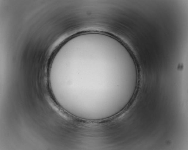 X0000116000982200911191210