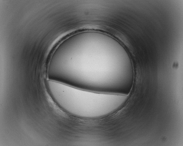 X0000116000984200911191210