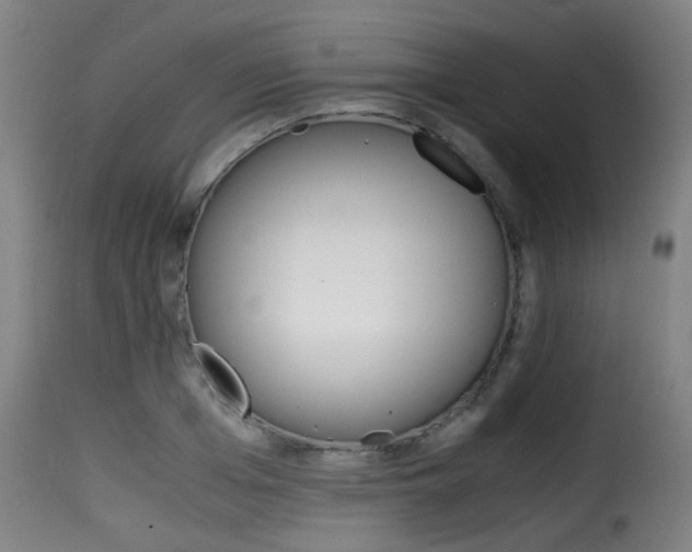 X0000116000985200911191210