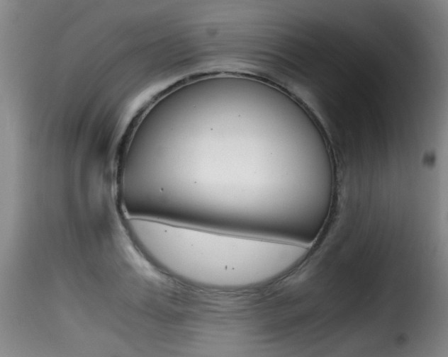 X0000116000987200911191210