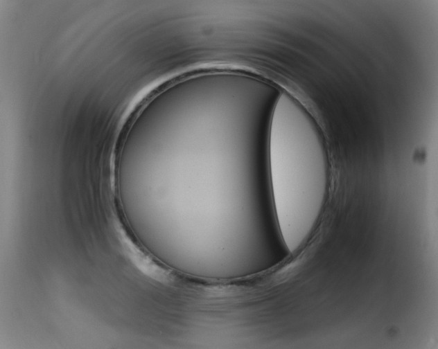 X0000116000988200911191210
