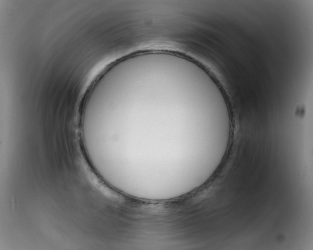 X0000116000990200911191210