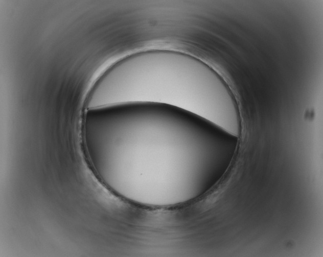 X0000116000992200911191210