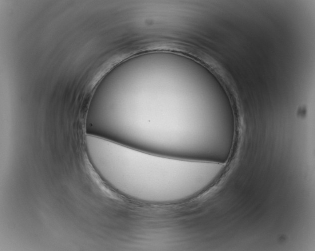 X0000116000993200911191210