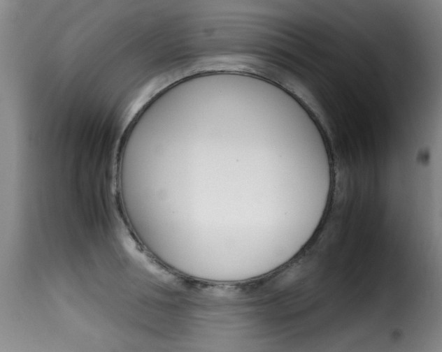 X0000116000994200911191210