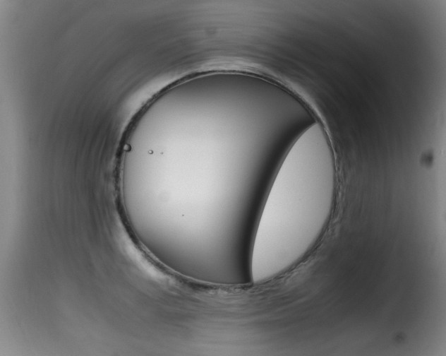 X0000116000995200911191210