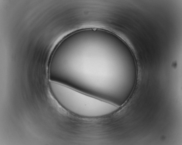 X0000116000996200911191210