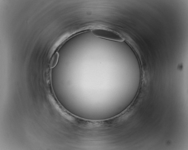 X0000116000997200911191210