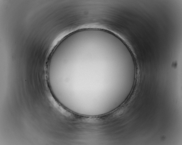X0000116000998200911191210