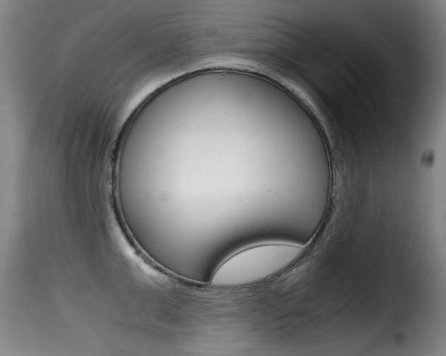 X0000116000999200911191210