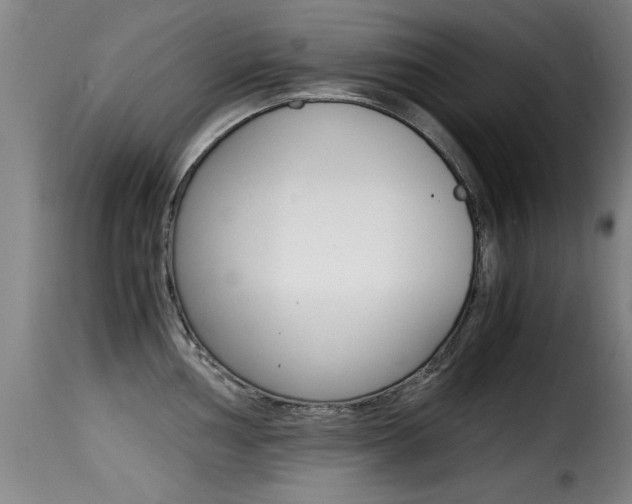 X0000116001002200911191210