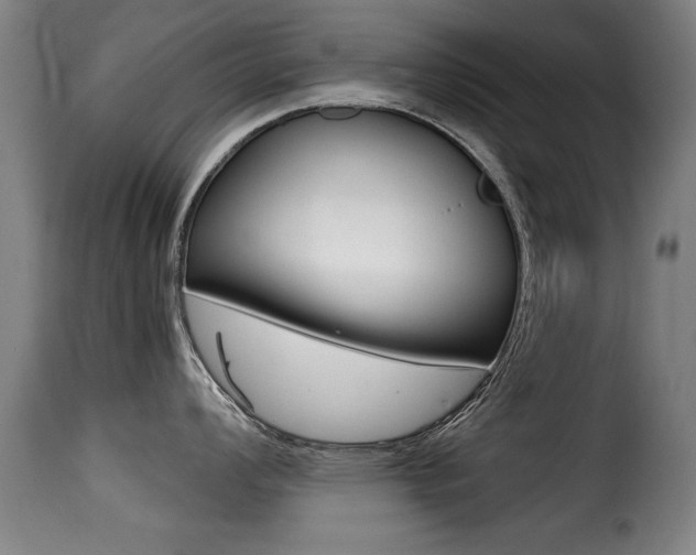 X0000116001008200911191209
