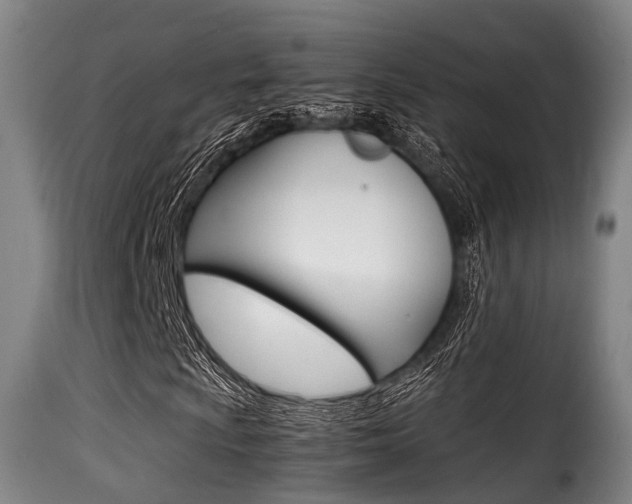 X0000116001009200911191209