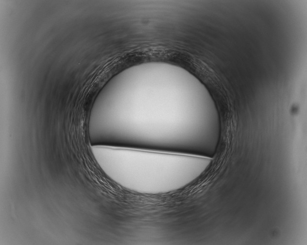 X0000116001010200911191209