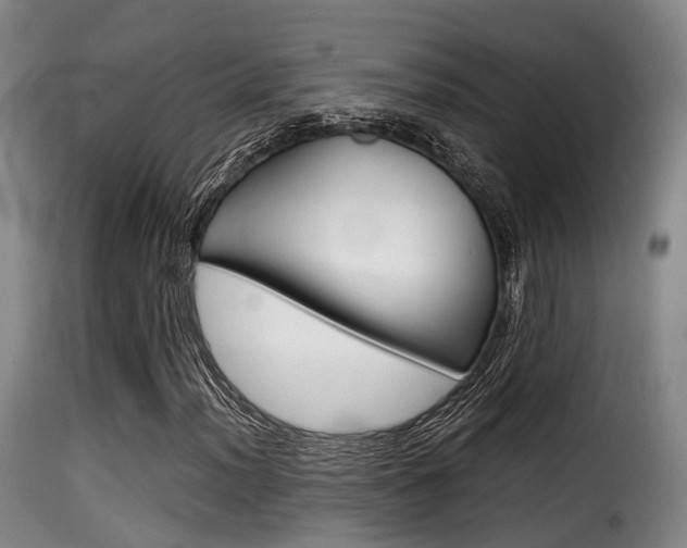 X0000116001012200911191209