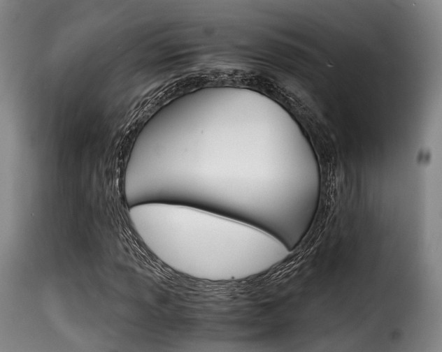 X0000116001013200911191209