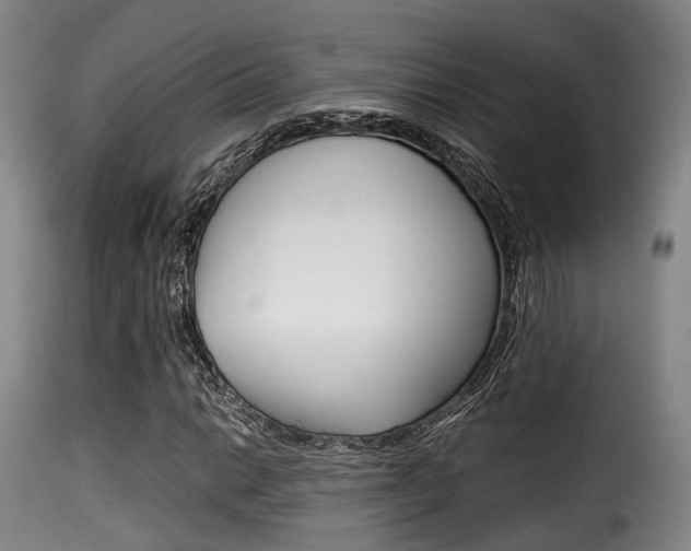 X0000116001014200911191209