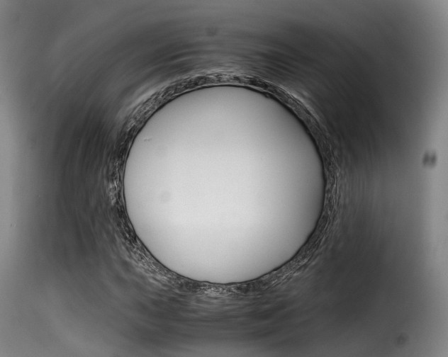 X0000116001015200911191209
