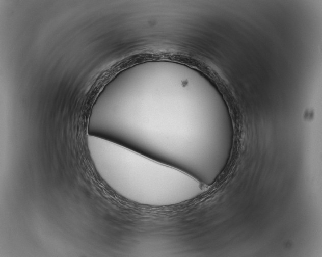 X0000116001016200911191209