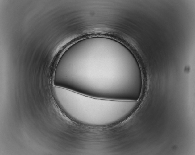 X0000116001018200911191209