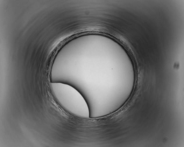 X0000116001019200911191209