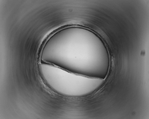 X0000116001020200911191209