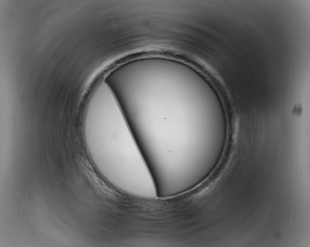 X0000116001021200911191209
