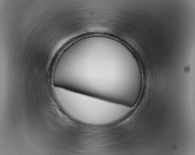 X0000116001022200911191209