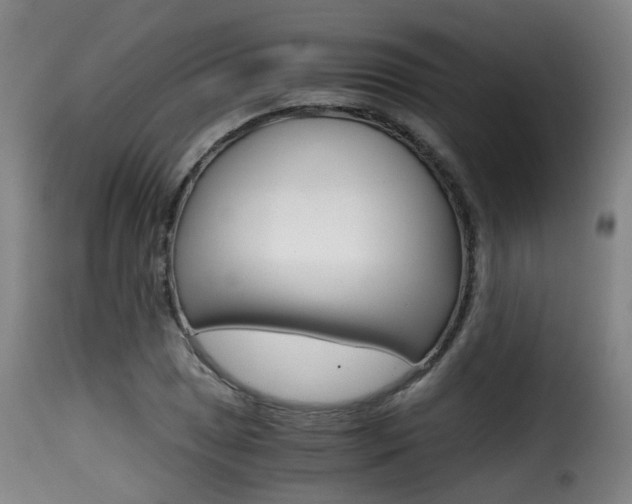 X0000116001025200911191209