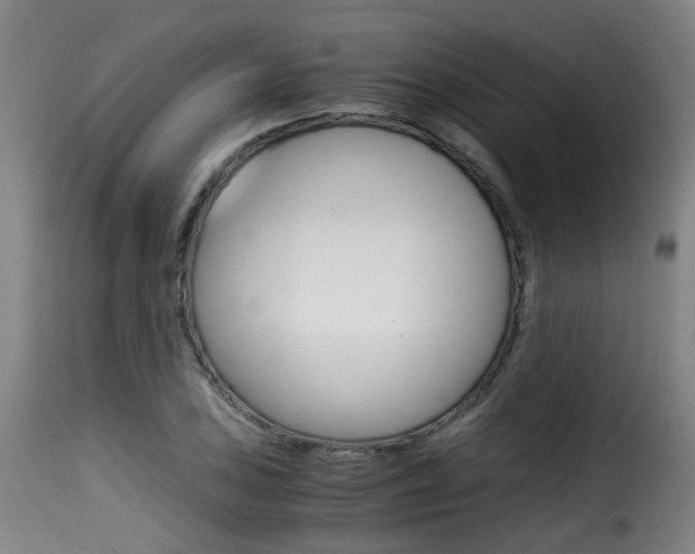 X0000116001027200911191209