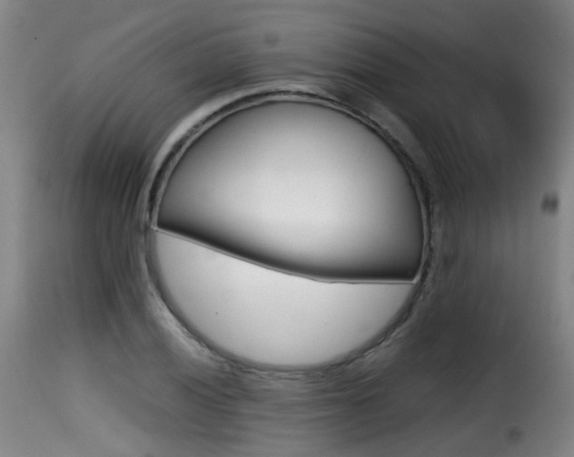 X0000116001028200911191209