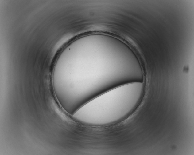 X0000116001029200911191209
