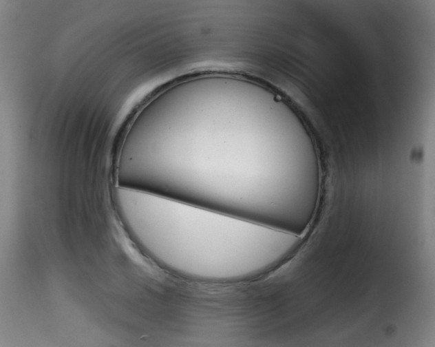 X0000116001030200911191209