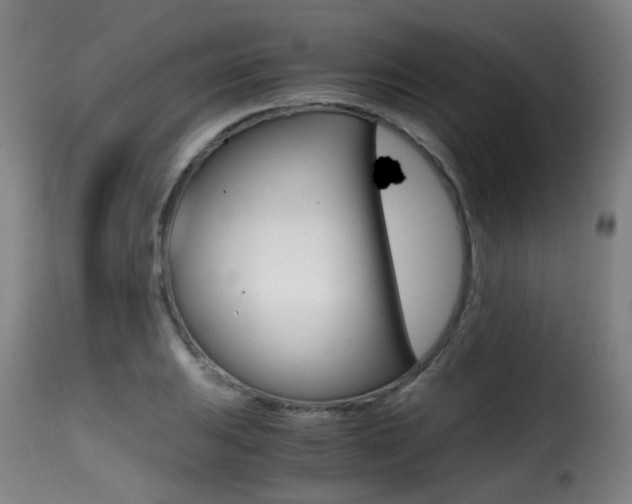 X0000116001031200911191209