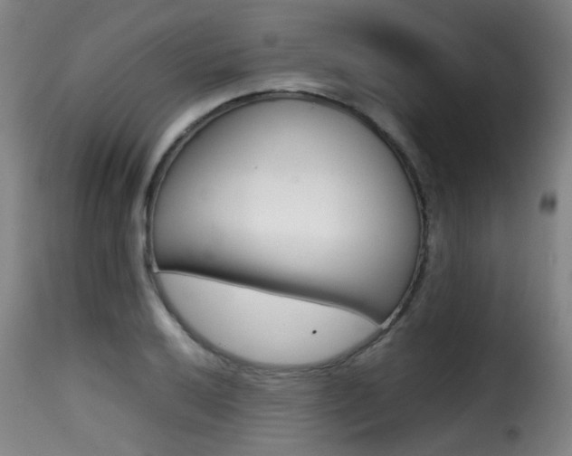 X0000116001032200911191209