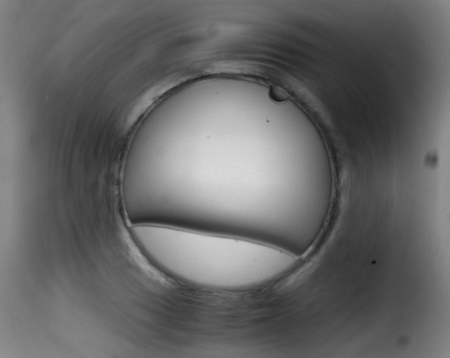 X0000116001033200911191209