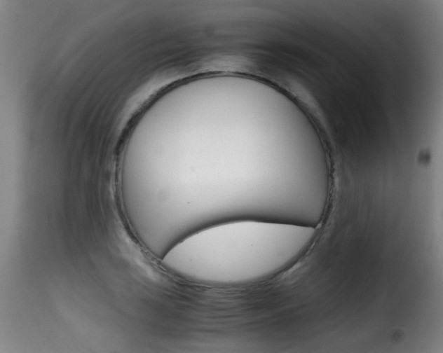X0000116001035200911191209