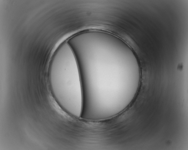 X0000116001036200911191209