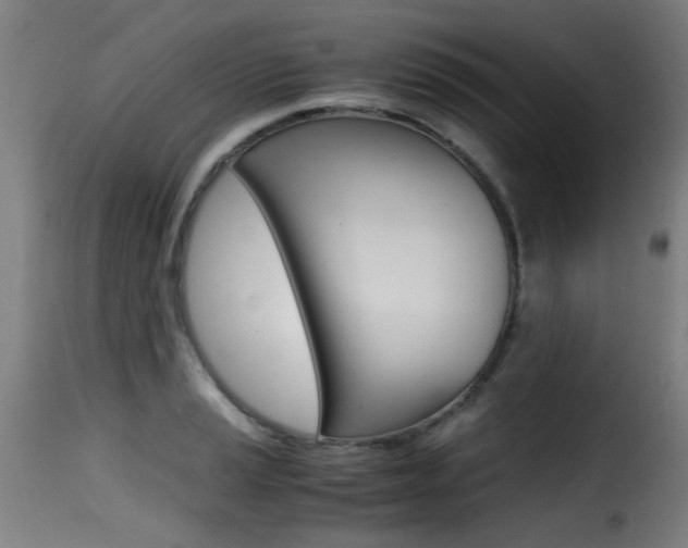 X0000116001037200911191209
