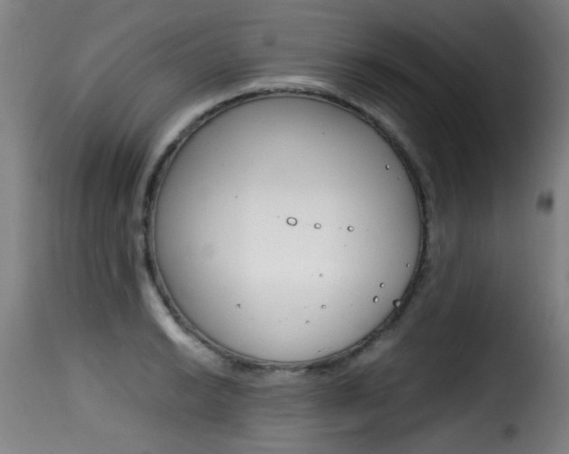 X0000116001038200911191209