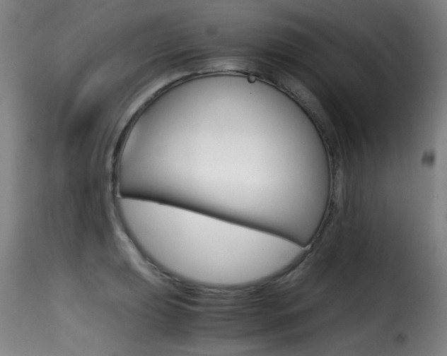 X0000116001039200911191209