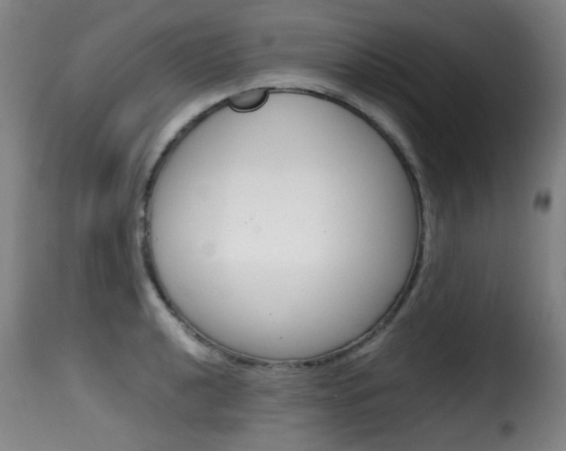 X0000116001040200911191209
