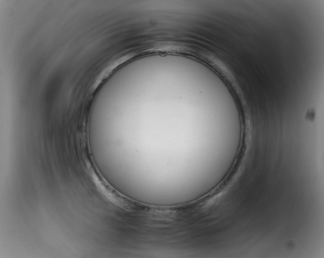 X0000116001041200911191209