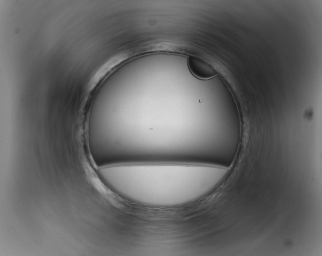 X0000116001042200911191209