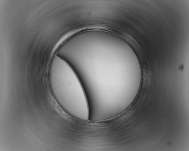 X0000116001044200911191209