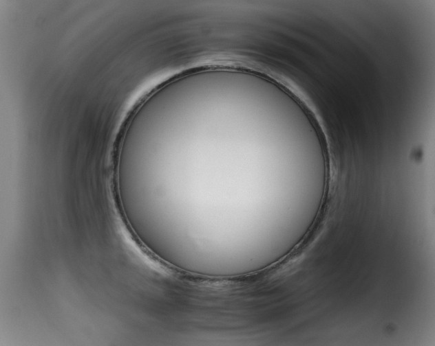X0000116001045200911191209