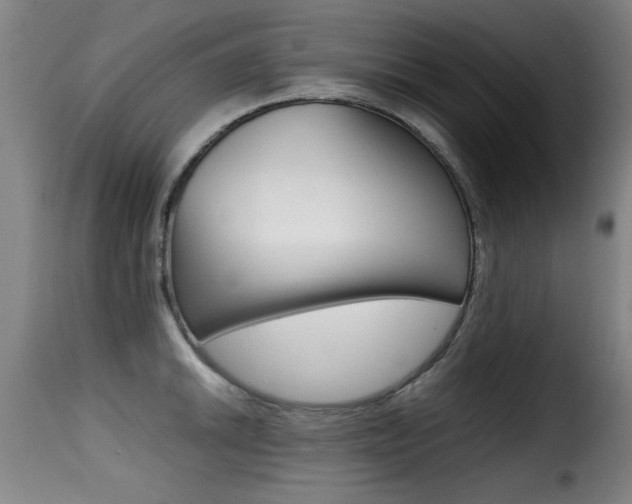 X0000116001046200911191209