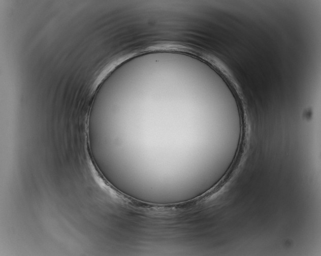 X0000116001049200911191209