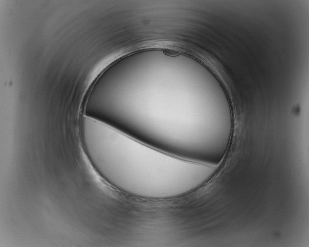 X0000116001050200911191209